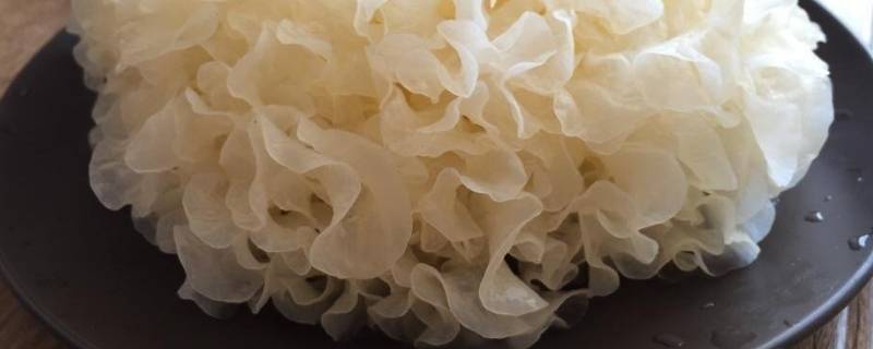 银木耳怎么吃 银耳木耳怎么吃