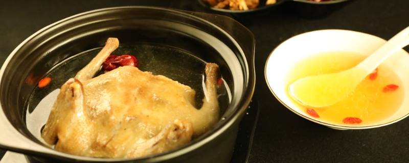 怎么炖鸽子 怎么炖鸽子的正确方法