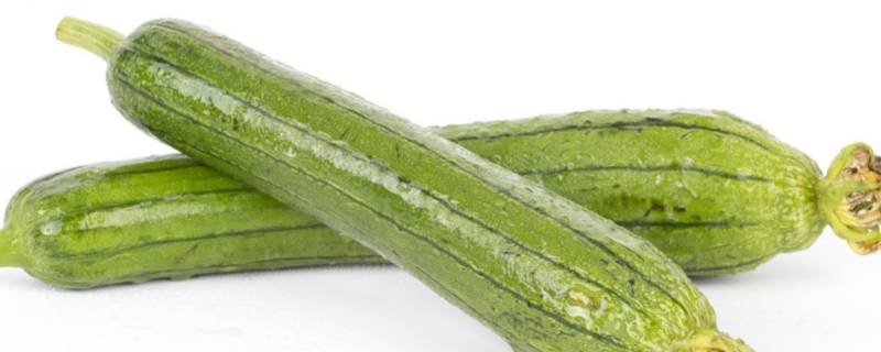 肉丝瓜怎么做好吃 丝瓜跟肉怎么做