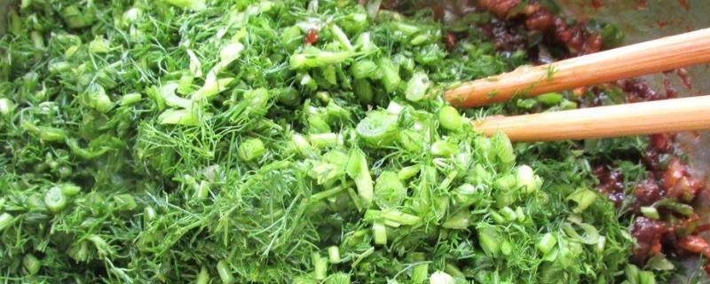 茴香苗饺子馅怎么调好吃（猪肉茴香苗饺子馅怎么调好吃）