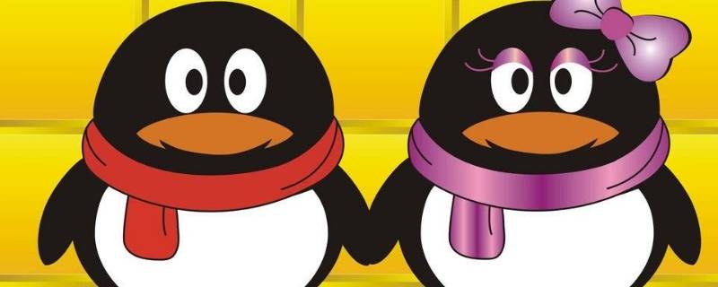 qq为什么搜不到对方qq号（为什么搜对方qq号搜不到）