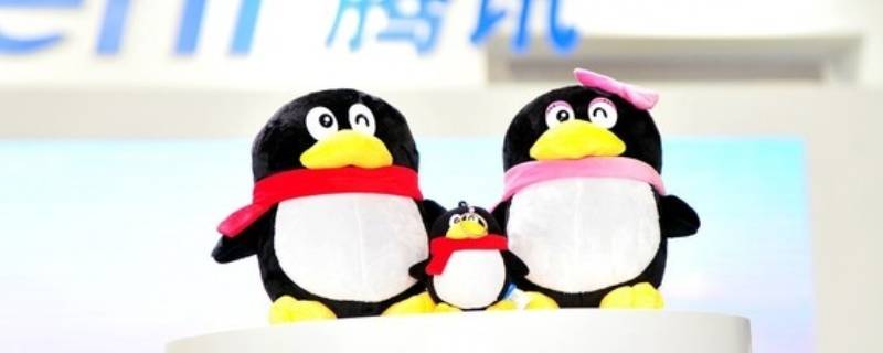 qqlive是什么文件夹（电脑qqlive是什么文件夹）