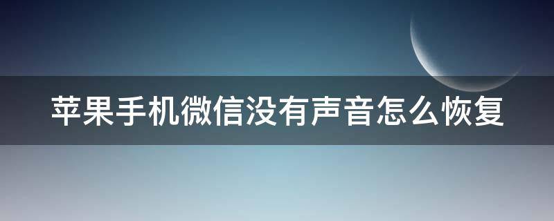 苹果手机微信没有声音怎么恢复（苹果手机微信没有声音怎么恢复正常）