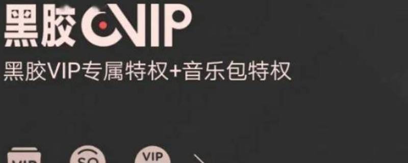 黑胶vip是什么意思 黑胶vip是什么意思网络用语