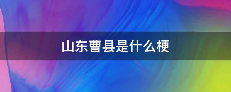 山东曹县是什么梗（山东省曹县什么梗）