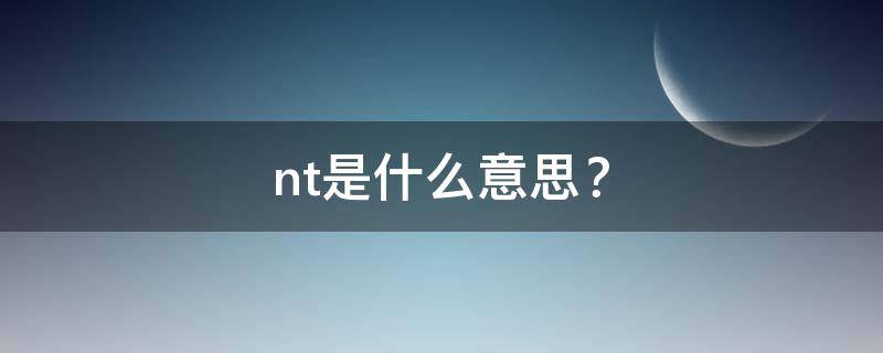 nt是什么意思？ nt是什么意思?英语