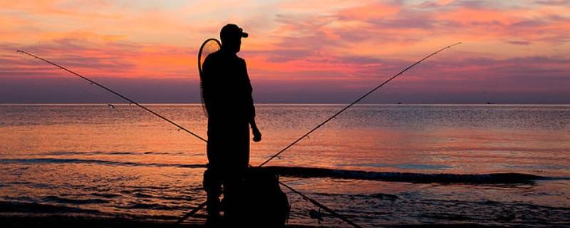 水库钓鱼技巧 大型水库钓鱼技巧
