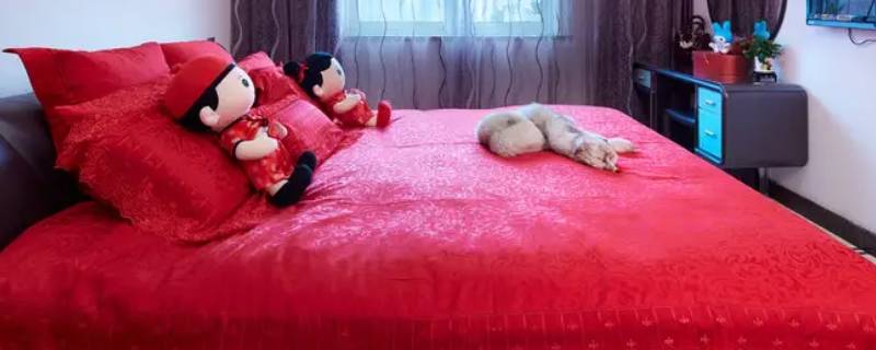 人们把新人完婚的房子称为什么（传统婚礼中人们把新人结婚的房子称为）