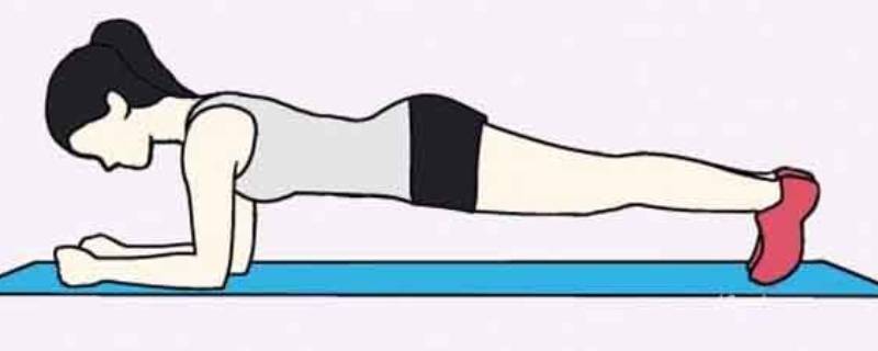 平板支撑的正确姿势（平板支撑的正确姿势及标准）