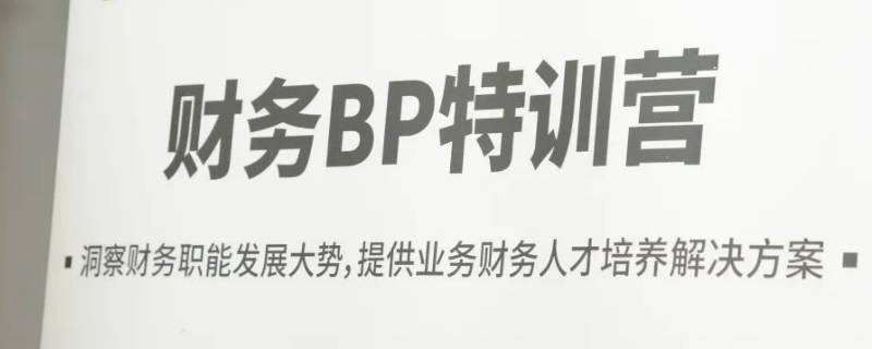 财务bp是什么意思？（财务bp是什么意思的缩写）