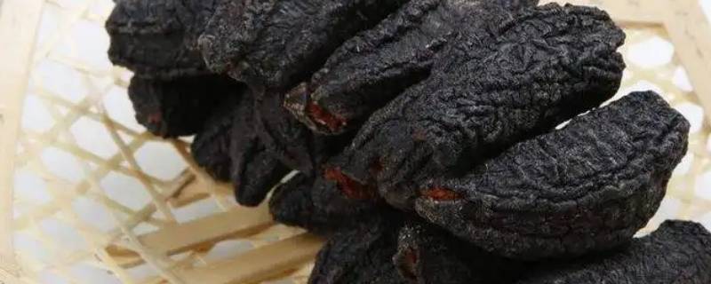 没刺的是海参吗（没刺的海参）