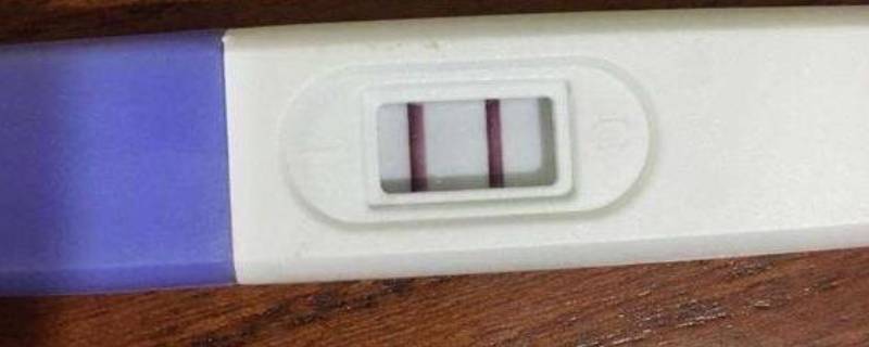 验孕棒怎么看结果 秀儿验孕棒怎么看结果