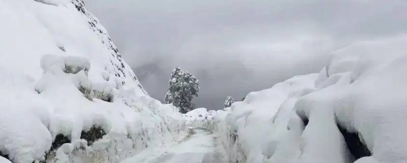 下雪后高速公路上都会除雪吗（下雪以后高速公路会清雪吗）