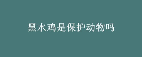 黑水鸡是保护动物吗 黑水鸡是保护动物吗?