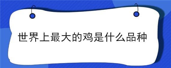 世界上最大的鸡是什么品种 世界最大的鸡是什么品种的