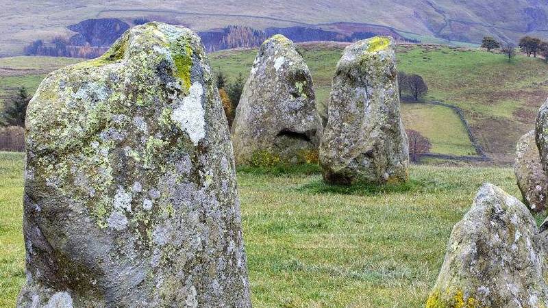 我国的奇石都有哪些种类（中国四大奇石是哪四种石）