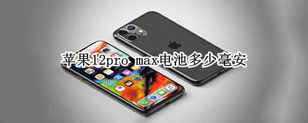 苹果12pro 苹果12pro max参数配置