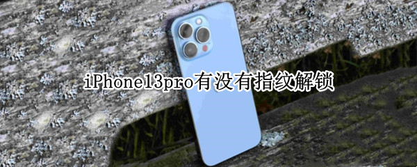 iPhone13pro有没有指纹解锁（iPhone13pro指纹解锁）