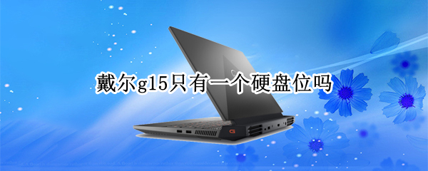 戴尔g15只有一个硬盘位吗 戴尔g15有几个硬盘位