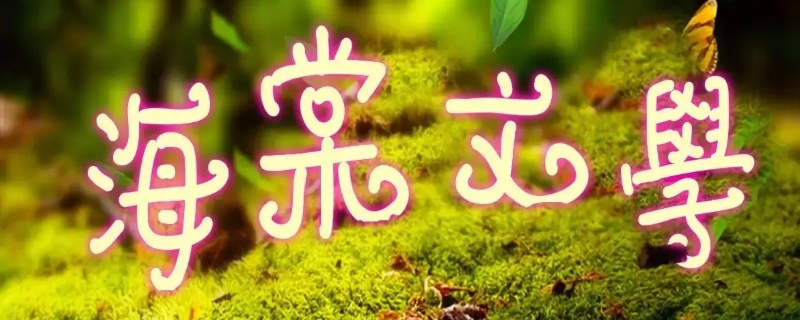 shoto是什么 shoto是什么主播