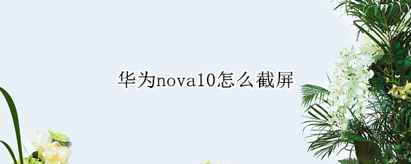 华为nova10怎么截屏（华为nova10怎么截长图）