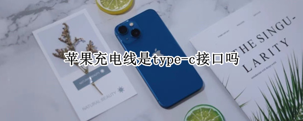 苹果充电线是type-c接口吗 苹果手机可以用type-c接口充电线么