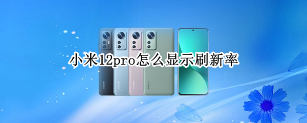 小米12pro怎么显示刷新率(小米10pro屏幕刷新率在哪里设置)