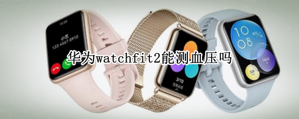 华为watchfit2能测血压吗（华为watch2pro能测血压吗）