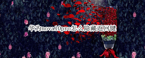 华为nova10pro怎么隐藏返回键 华为nova5pro怎么隐藏返回键