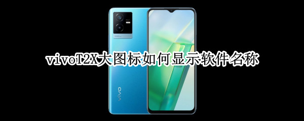 vivoT2X大图标如何显示软件名称（vivo怎么修改软件名称和图标）