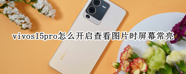 vivos15pro怎么开启查看图片时屏幕常亮 vivo手机怎么显示照片拍摄时间