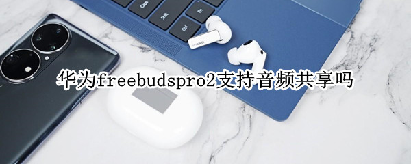 华为freebudspro2支持音频共享吗（华为freebuds 2 pro音质）