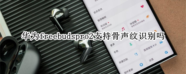 华为freebudspro2支持骨声纹识别吗 华为耳机freebudspro支持骨声纹么