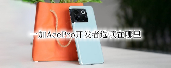 一加AcePro开发者选项在哪里（一加9pro开发者选项在哪）