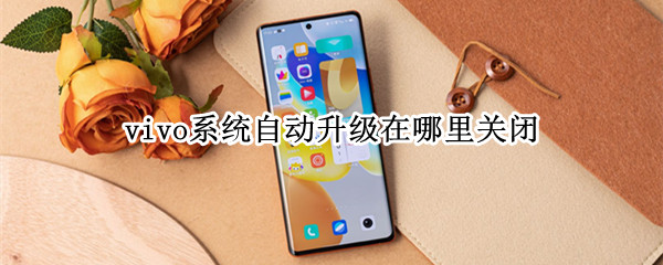 vivo系统自动升级在哪里关闭 vivo系统升级如何关闭