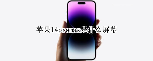 苹果14promax是什么屏幕（苹果12promax是什么屏幕）