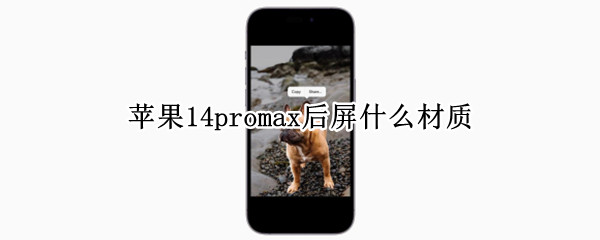 苹果14promax后屏什么材质（苹果12promax后屏是什么材质）