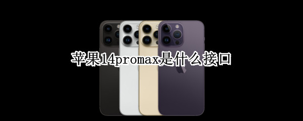 苹果14promax是什么接口（苹果11promax是什么接口）