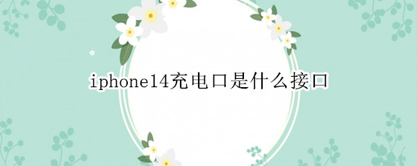 iphone14充电口是什么接口 iPhone14充电口