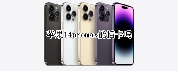 苹果14promax能插卡吗（苹果12pro max可以插4g卡吗）