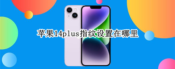 苹果14plus指纹设置在哪里 ios14指纹设置在哪里