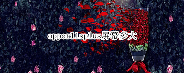 oppor11splus屏幕多大 oppor11splus屏幕多大英寸