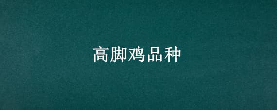 高脚鸡品种 高脚土鸡品种