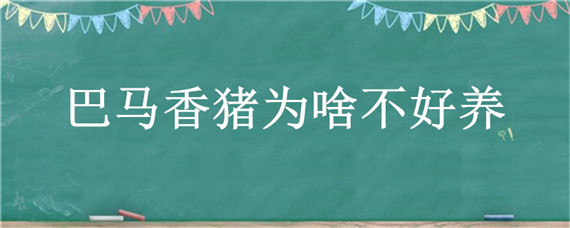 巴马香猪为啥不好养 巴马香猪为啥不好养呢