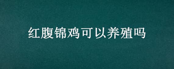 红腹锦鸡可以养殖吗（红腹锦鸡可以养殖吗视频）