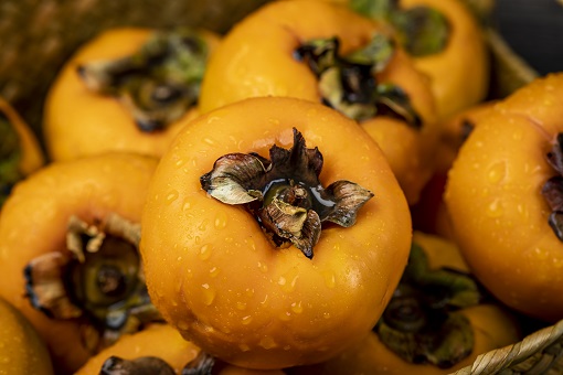 柿子不能和什么食物一起吃(柿子不能和什么食物一起吃隔多久)