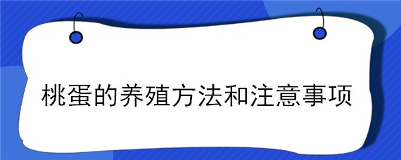 桃蛋的养殖方法和注意事项（桃蛋的养殖方法和注意事项视频）