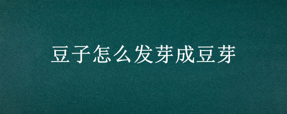 豆子怎么发芽成豆芽（豆子怎么长成豆芽）