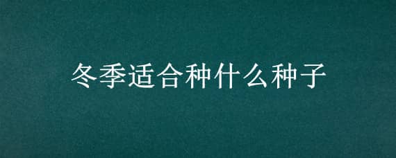 冬季适合种什么种子（冬季适合种什么种子植物）