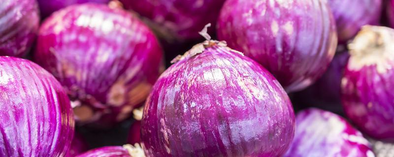 洋葱的营养成分和功效 洋葱的营养成分功效与作用